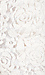 Floral Lace Shorts Thumb 4