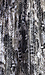 BB Dakota Snake Skirt Thumb 4