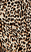 Sheer Leopard Maxi Skirt Thumb 4