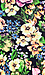 Vibrant Floral Midi Skirt Thumb 4
