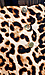 Leopard Print Sailor Shorts Thumb 4