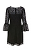 BB Dakota Fluttered Sleeve Lace Dress Thumb 2