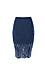 Keepsake Lace Pencil Skirt Thumb 1