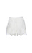 Elasticized Waist Lace Shorts Thumb 2