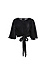 Front Knot Pleated Blouse Thumb 1
