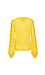 Long Balloon Sleeve Top Thumb 2
