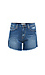 Flying Monkey High Rise Raw Hem Shorts Thumb 1