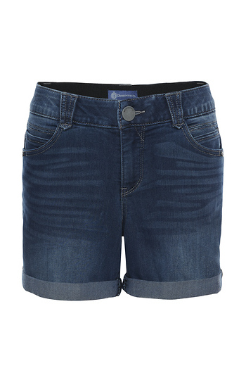 Democracy AbSolution Short Slide 1