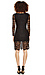 Blaque Label Long Sleeve Lace Dress Thumb 2