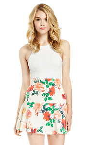 BB Dakota Goodwin Skirt Slide 1