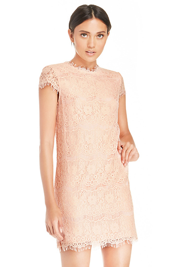 DV Dolce Vita Lace Ares Dress Slide 1