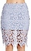 Venetian Lace Skirt Thumb 4