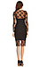 Line & Dot Depp Lace Midi Dress Thumb 2