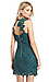 SAYLOR x Piper Floral Lace Dress Thumb 3
