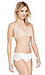 Keepsake White Electric Lace Bralette Thumb 3