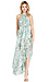 Lovers + Friends Floral Flashback Maxi Dress Thumb 1