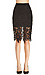 Venetian Lace Skirt Thumb 4