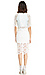 Venetian Lace Skirt Thumb 3