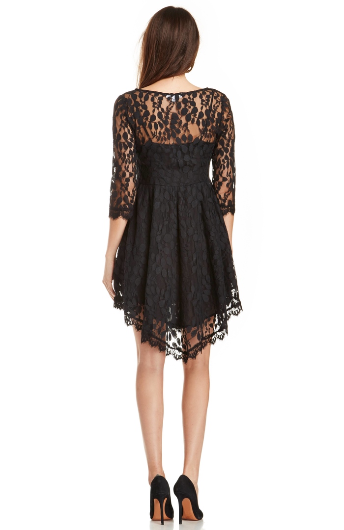 DAILYLOOK Eyelash Lace Fit and Flare Dress in Black | DAILYLOOK