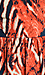 BB Dakota Maynard Dress Thumb 4