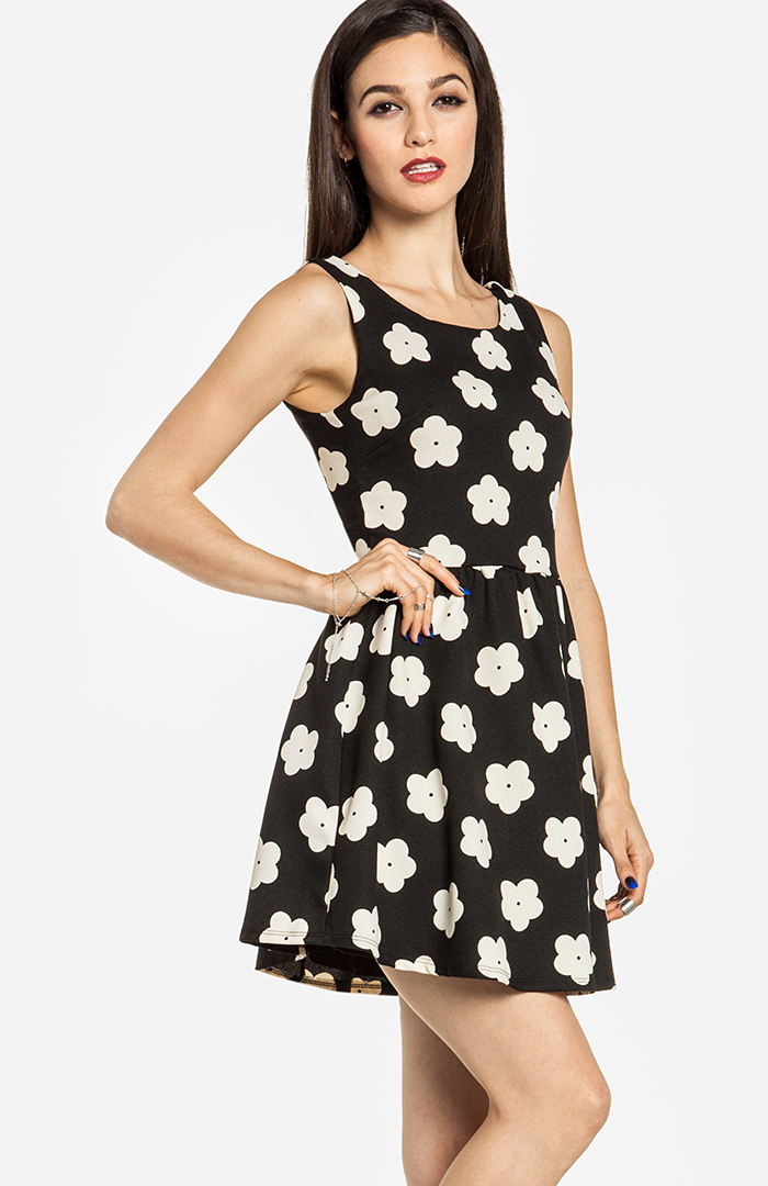 Daisy Print Fit and Flare Dress in Black DAILYLOOK