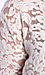 Sheer Floral Lace Dress Thumb 4