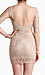 Nude Lace Dress Thumb 3