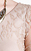 Nude Lace Dress Thumb 4