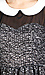 Peter Pan Mesh Insert Dress Thumb 4
