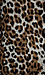 BB Dakota Hazel Leopard Coat Thumb 5