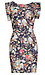 Line & Dot Deep V Back Floral Dress Thumb 1