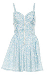 Leopard Fit and Flare Dress