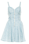 Leopard Fit and Flare Dress