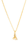 Ring Pendant Necklace