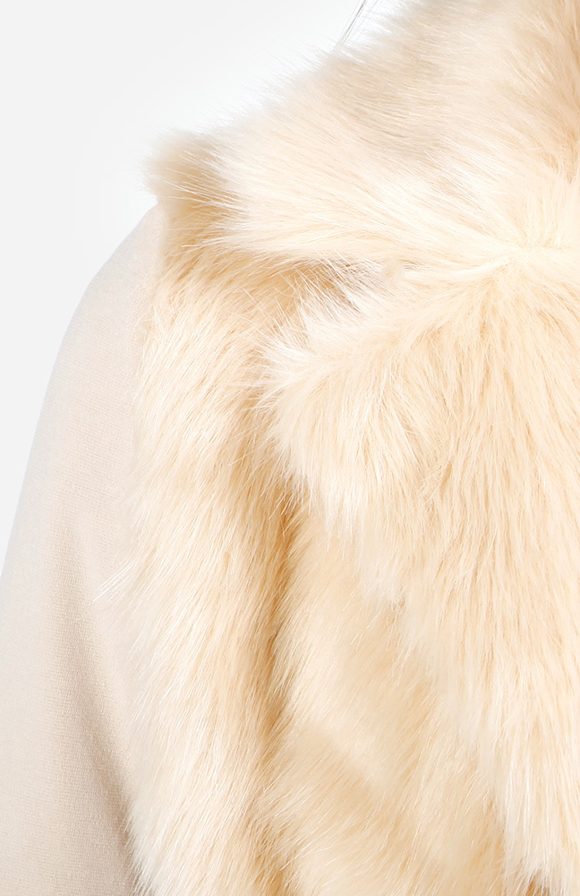 Faux Fur Vintage Jacket in Beige | DAILYLOOK