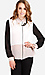 Color Block Sheer Blouse Thumb 1