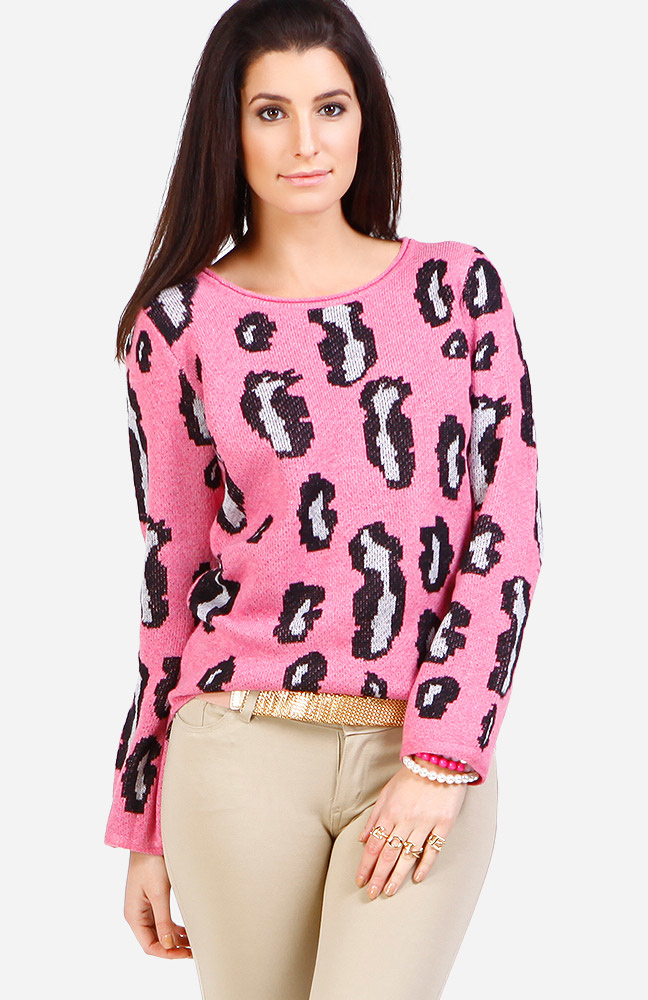 Electric Leopard Print Sweater in Pink | DAILYLOOK