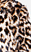 Faux Fur Leopard Coat Thumb 4
