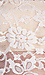 BB Dakota Jenner Lace Top Thumb 4
