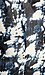 Ink Blot Blazer Thumb 4