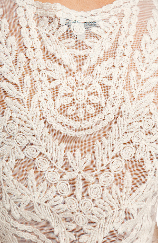 Sheer Embroidered Lace Top in Ivory | DAILYLOOK