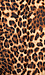Leopard Chiffon Blazer Thumb 5