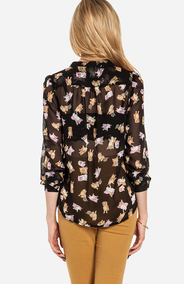 Playful Kitten Blouse in Black | DAILYLOOK
