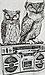 Owls in Stereo Tank Thumb 4