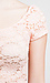 Floral Lace Crop Top Thumb 4