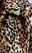 Leopard Print Coat Thumb 4