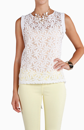 Daisy Lace Top Slide 1