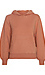Hoodie Pullover Thumb 1