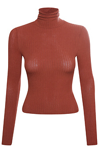 Turtleneck Top Slide 1