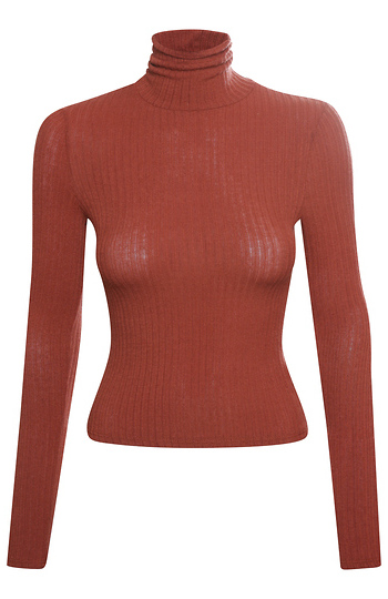 Turtleneck Top Slide 1
